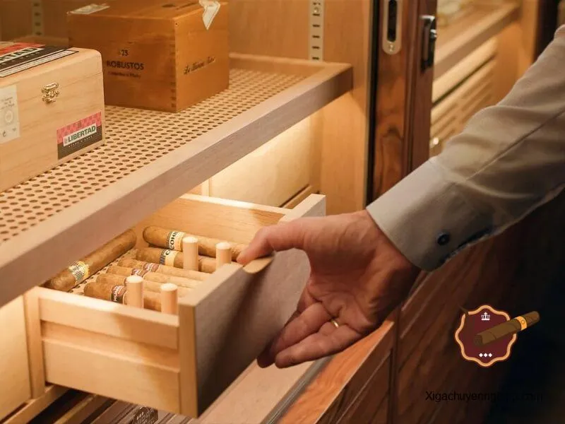sửa tủ cigar caso